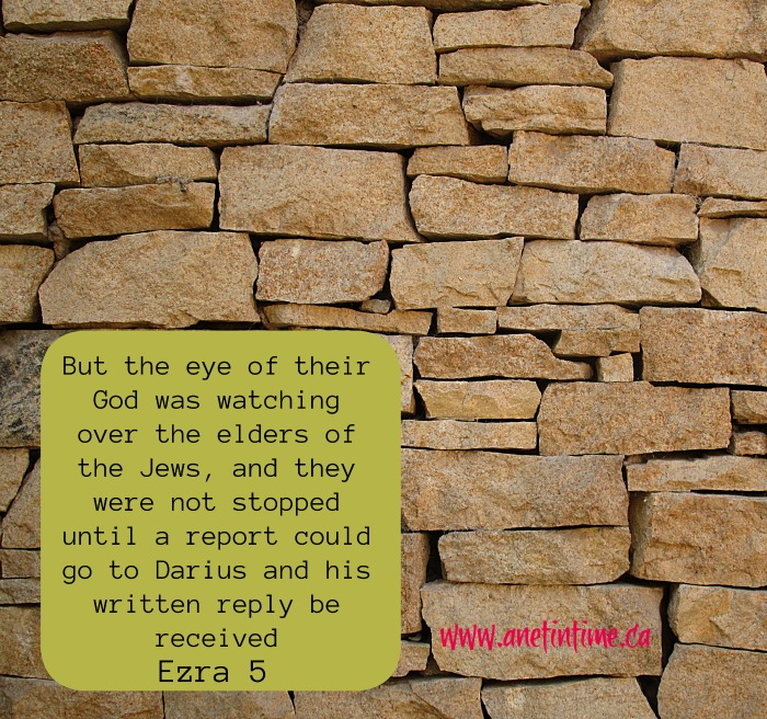 Devotional from Ezra 5, A letter to King Darius