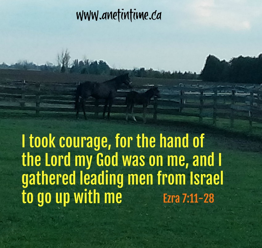 Artaxerxes issues a decree in Ezra 7:11-28. 