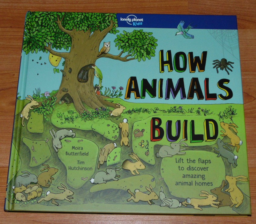 book cover of book How animals build