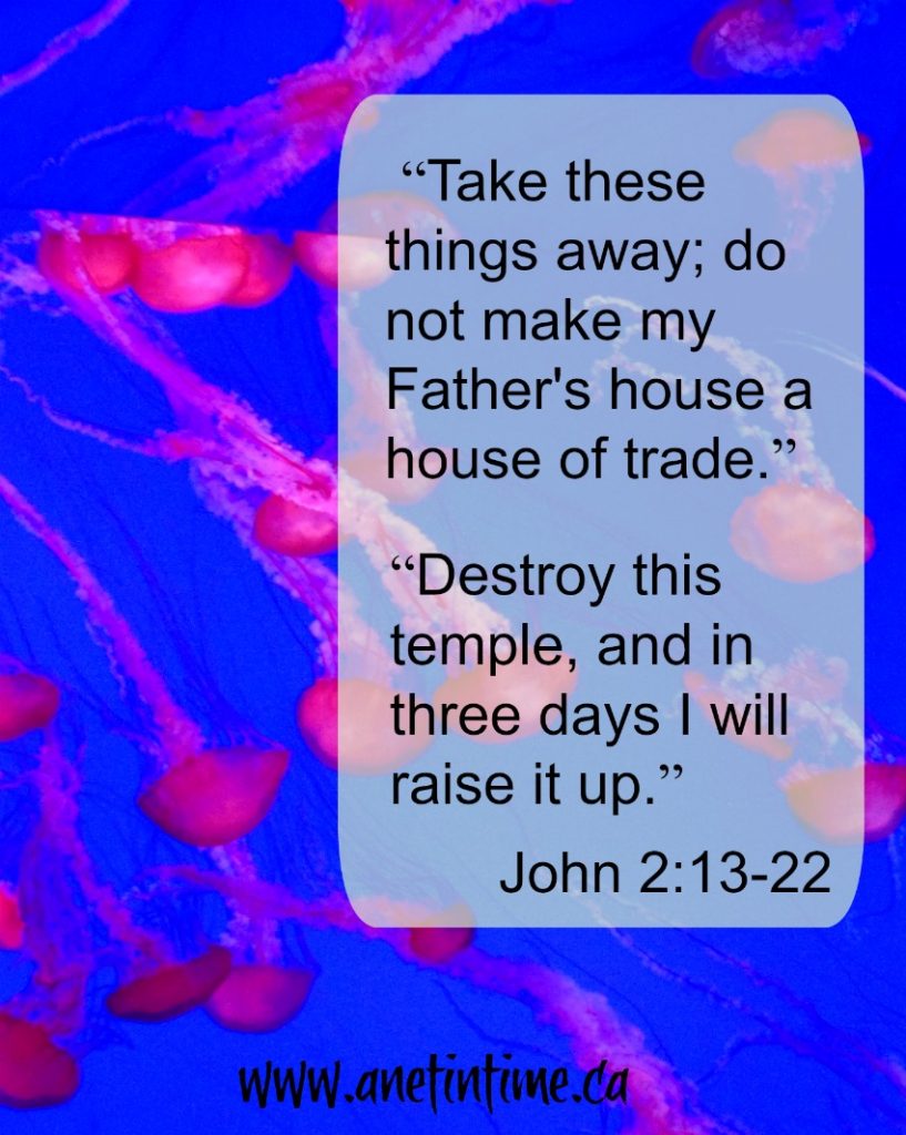 John 2:13-22 Jesus cleaned the temple, his authority given