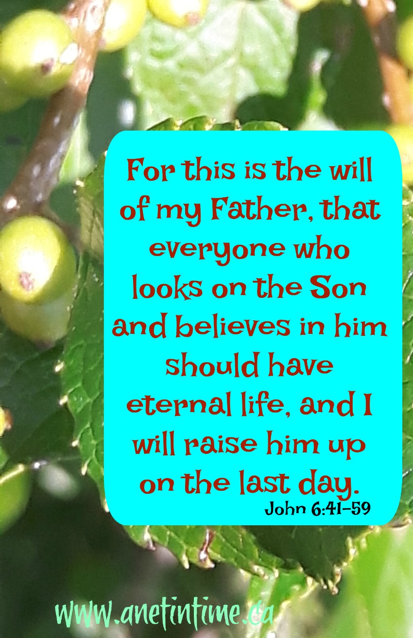 This is the will of the father, a devotional from John 6 This is the will of the father, a devotional from John 6