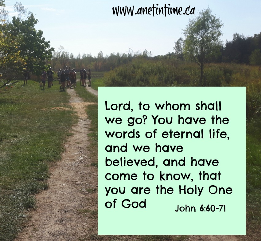 devotional from John 6:60-71, one will betray, who do you believe?