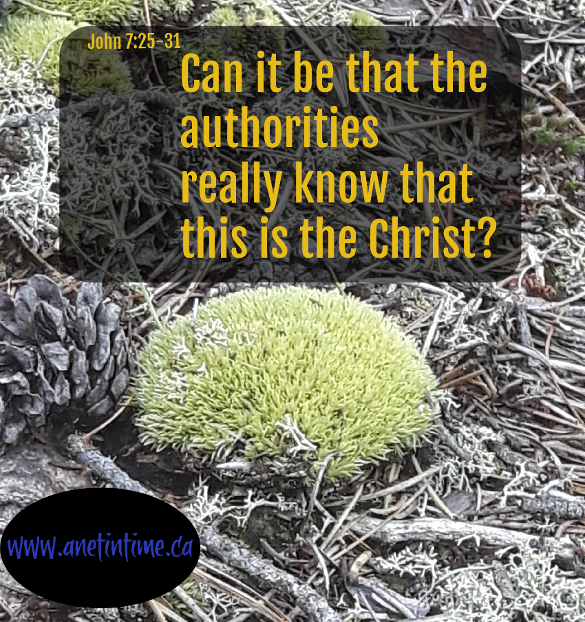 Devotional can this be the Christ JOhn 7;25-31