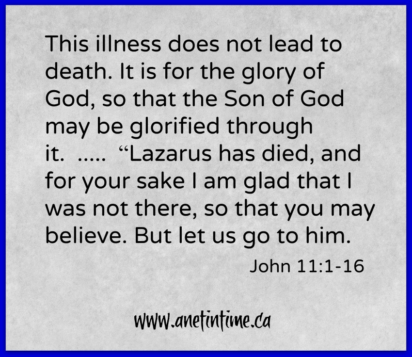 text from John 11:1-16