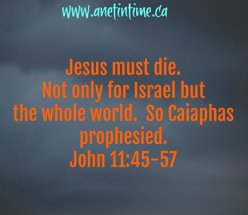 John 11:45-57 