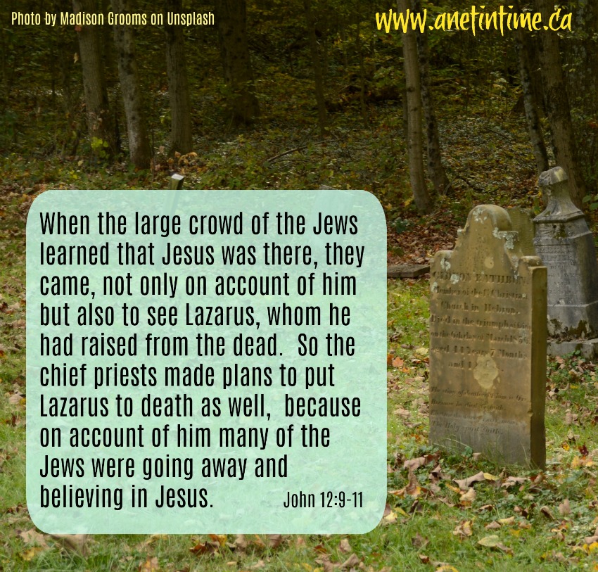 John 12:9-11 Kill Lazarus?