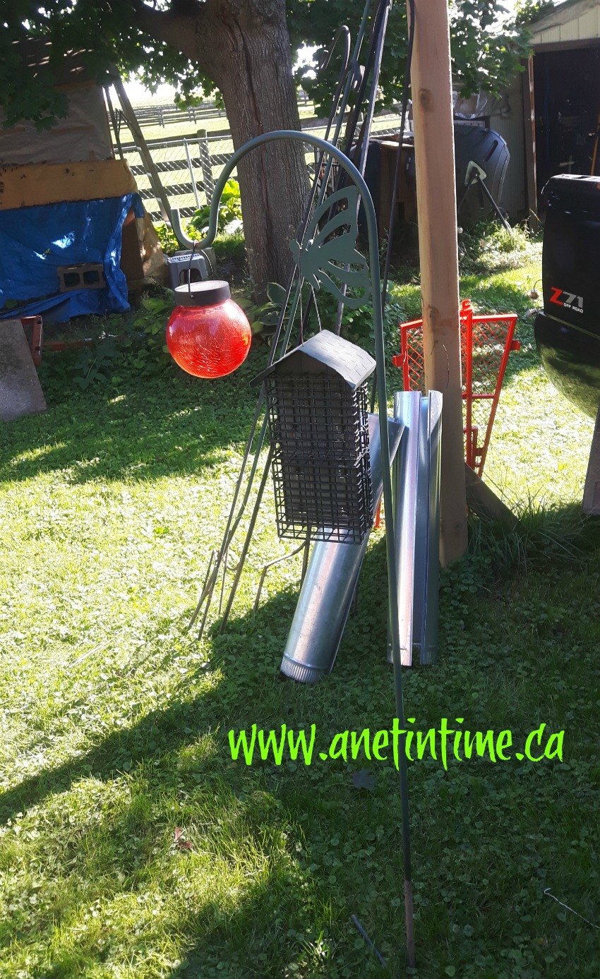 Bird feeders pulled out