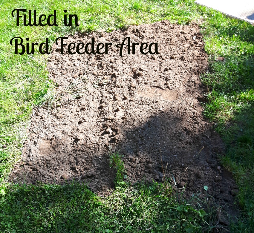 dirt back filled
