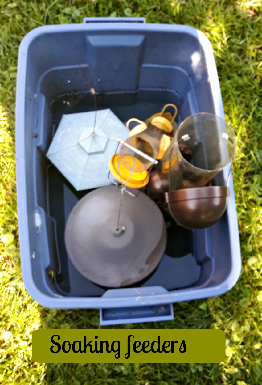 bird feeders soaking