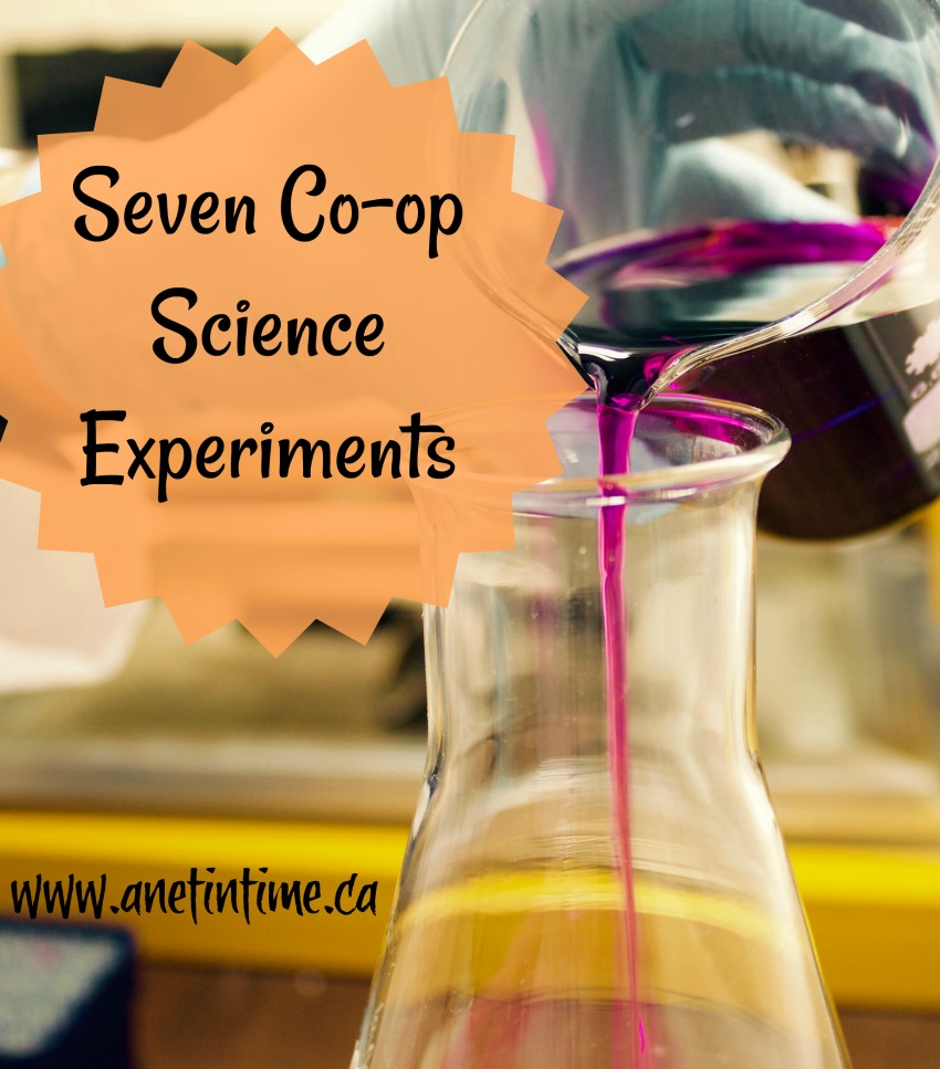 Seven experiments for Science Coop A Net in Time