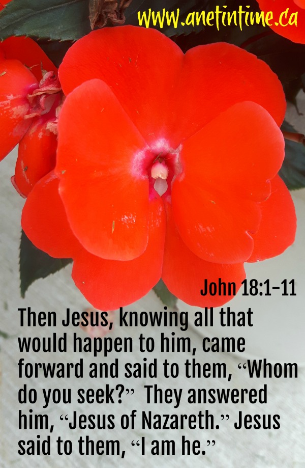 John 18:1-11, Jesus is betrayed by one who knew him well.
