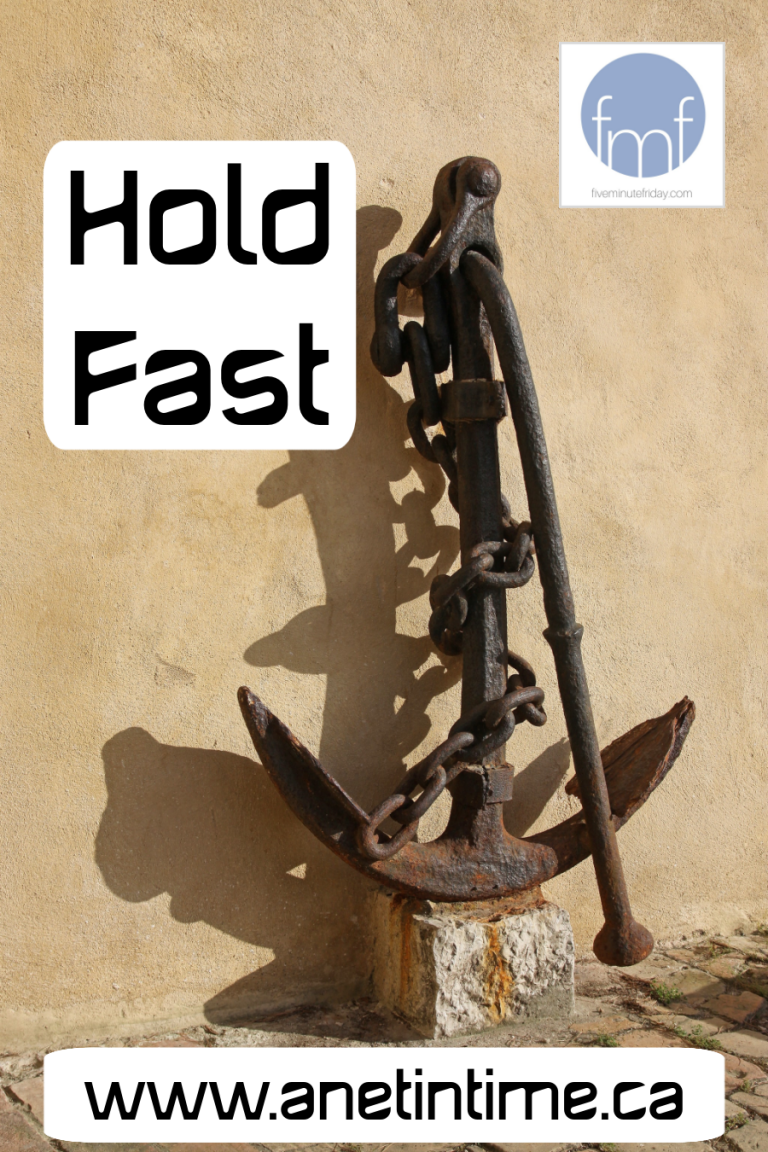 Holding Fast Hold Fast - A Net in Time