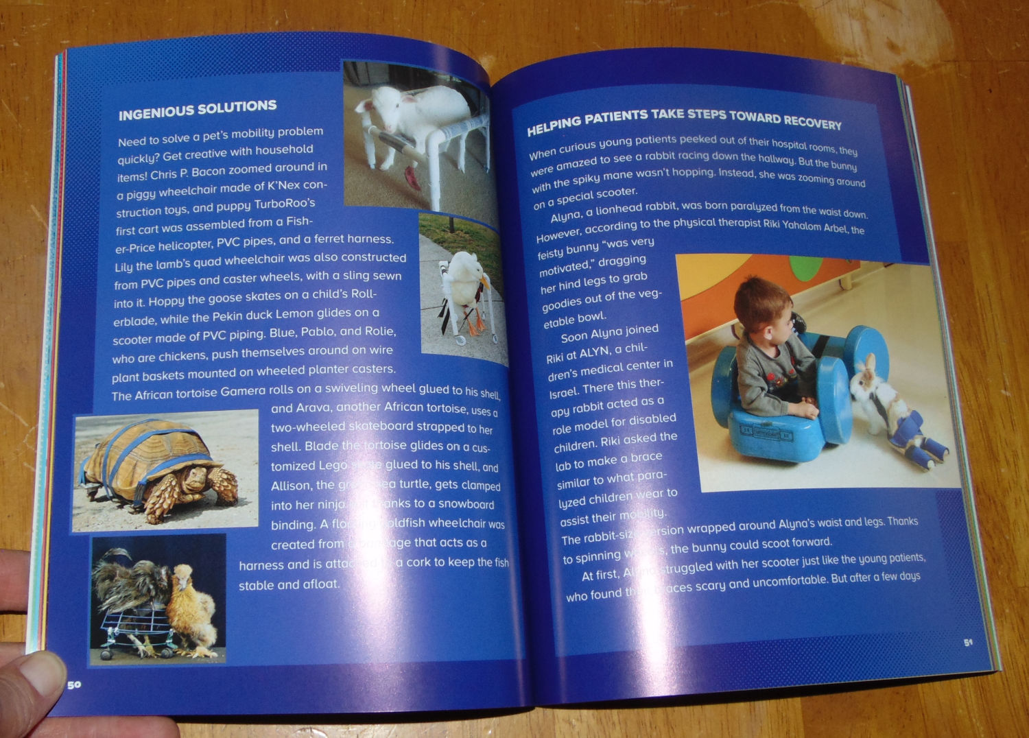 Unstoppable: True Stories of Amazing Bionic Animals - A Net in Time