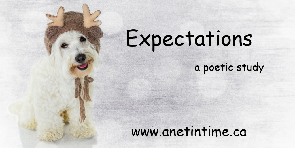 expectations text with picture of white dog at christmas