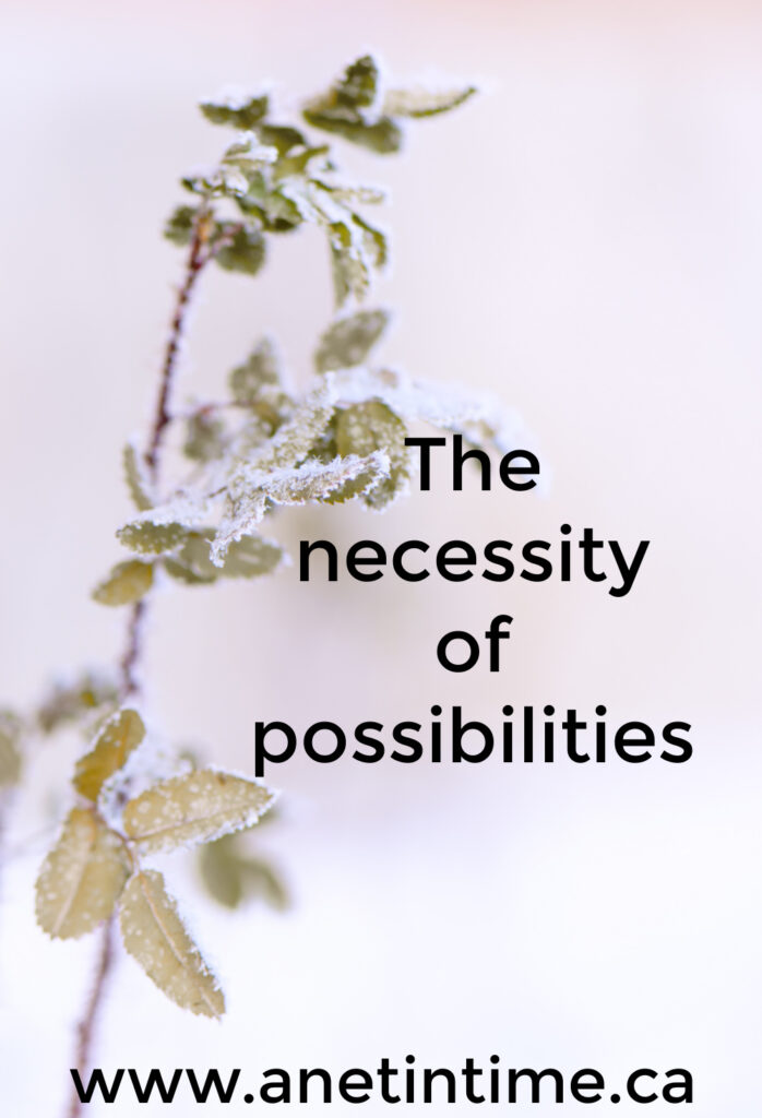 The Necessity of Possibilities