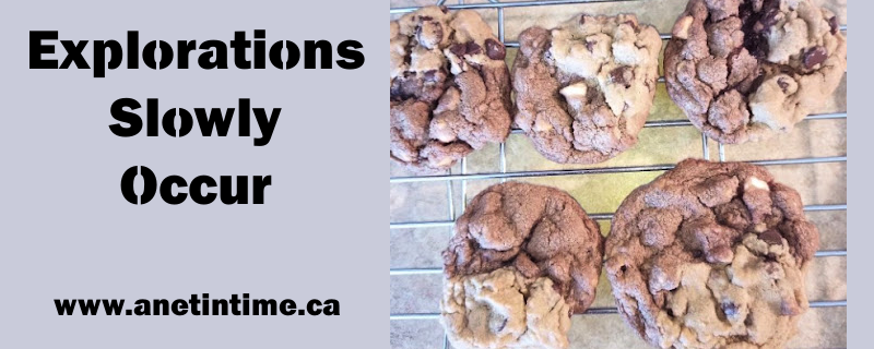 explorations slowly occur, with image of chocolate chip cookies