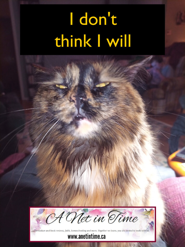 I don't think I will