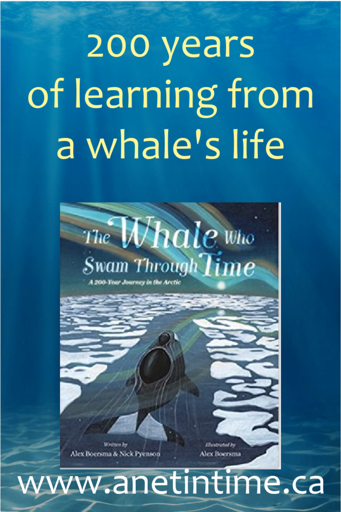 The whale who swam through time