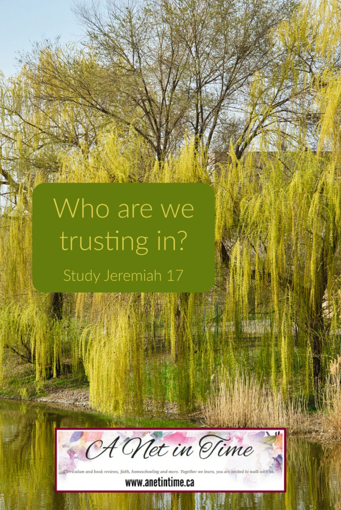 who are we trusting in text, with willow tree by water