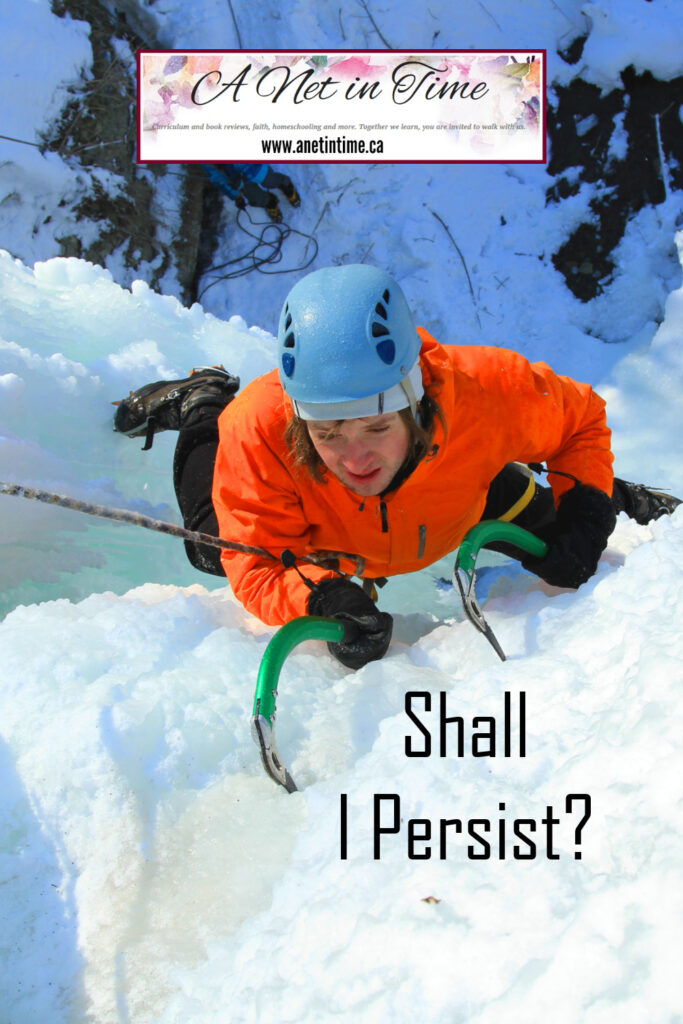Shall I persist?