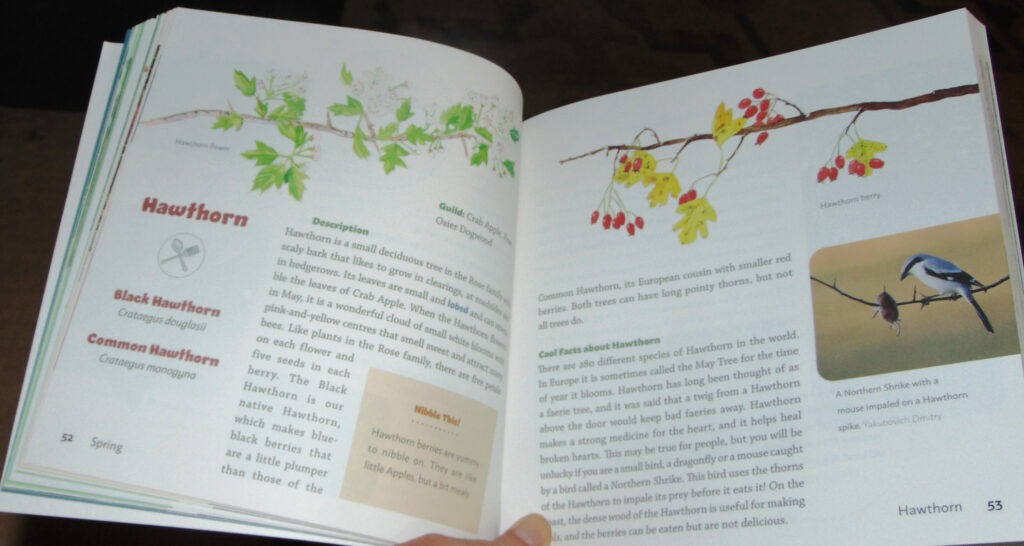 a kids guide to Plants of the pacific Northwest