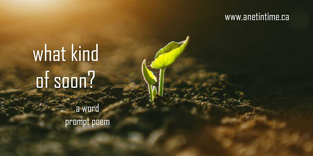 what kind of soon, text over image of seedling