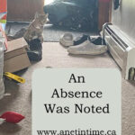 an absence was noted - kitten running across the floor