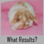 What results? What results