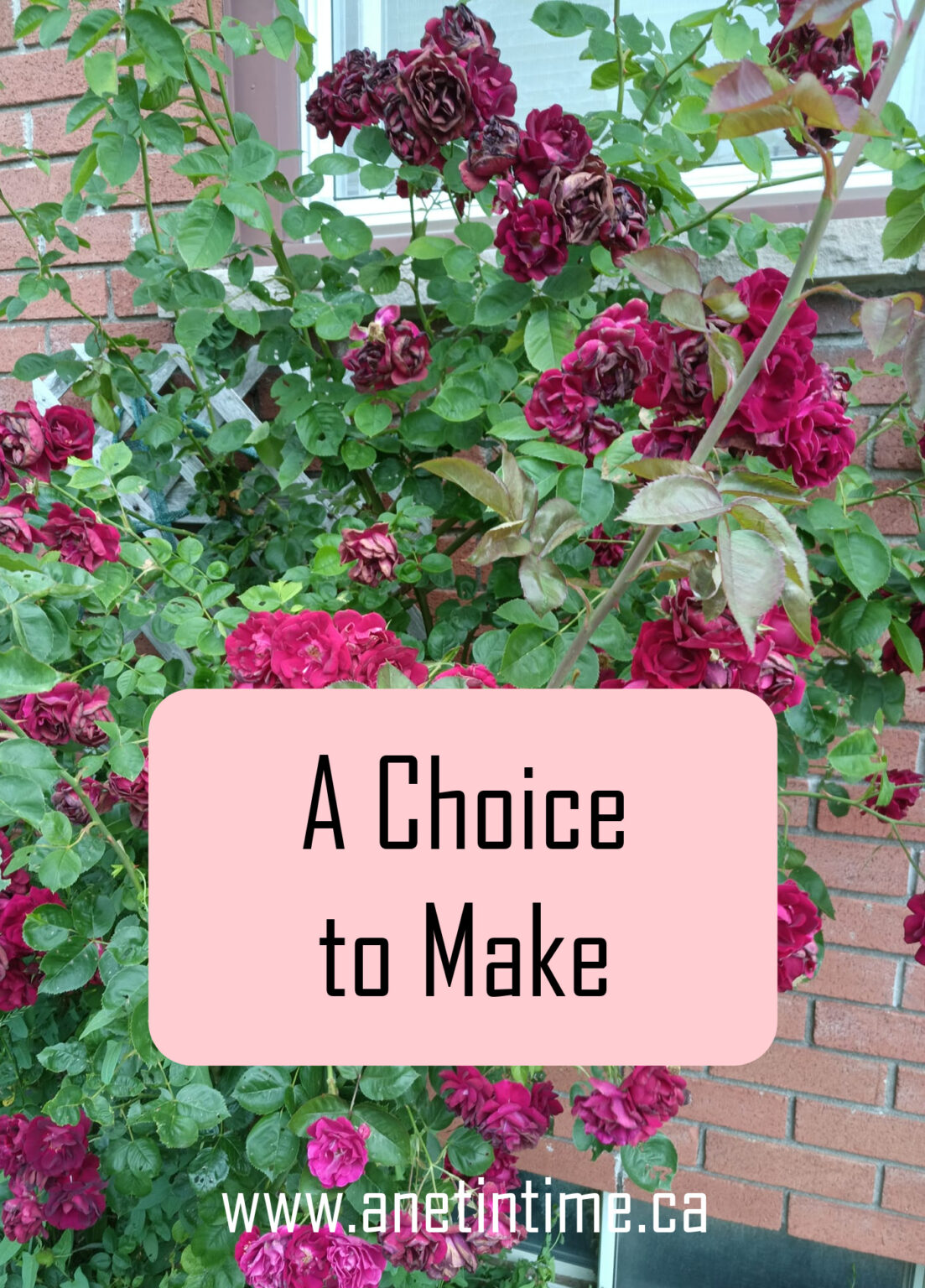 A Choice To Make - A Net in Time