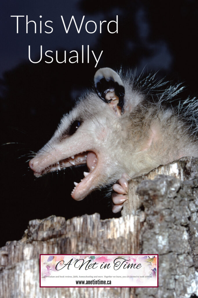 this word usually, text with image of possum in tree