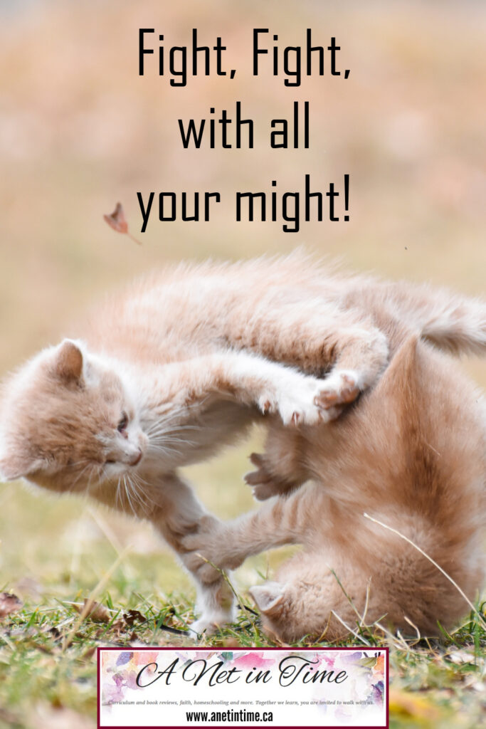 text: fight fight with all your might Image of kittens fighting