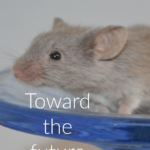 grey mouse pictured text toward the future