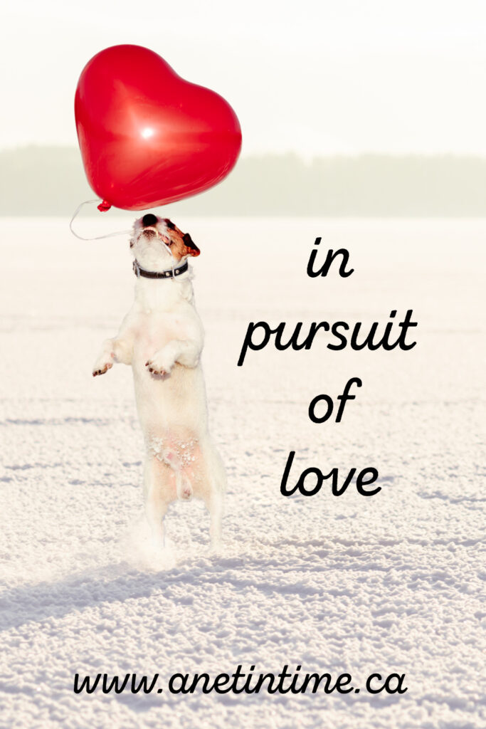 dog jumping for a heart shaped balloon. text in pursuit of love