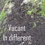 text: vacant in different ways image empty garden spot with bare dirt in it.