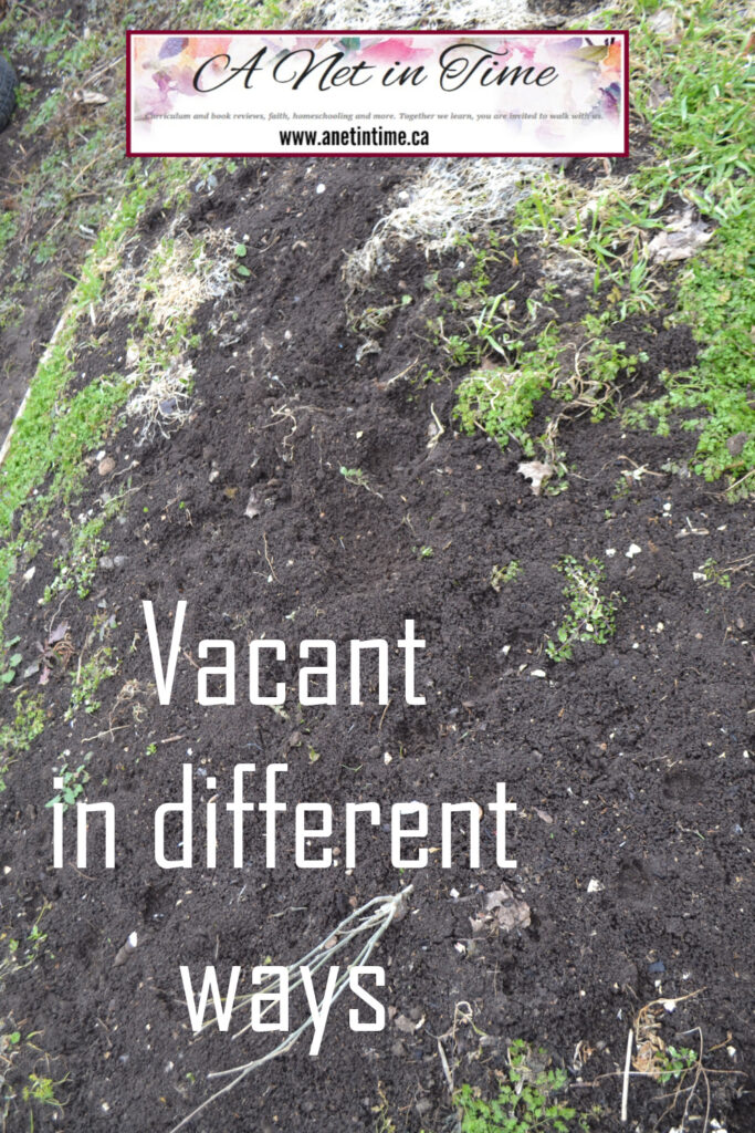 text: vacant in different ways
image empty garden spot with bare dirt in it.
