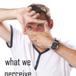 What We Perceive What we perceive