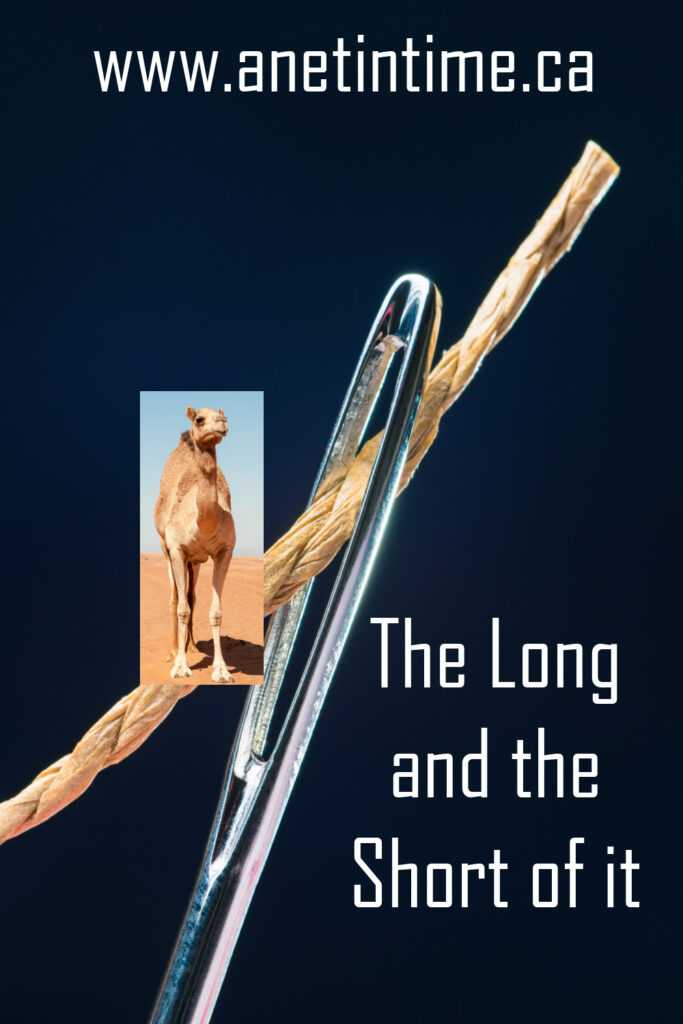 Photo of eye of needle with thread going through. text: the long and the short of it