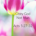 text obey god not man image of red tulip