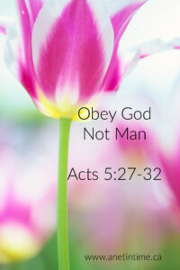 text obey god not man image of red tulip