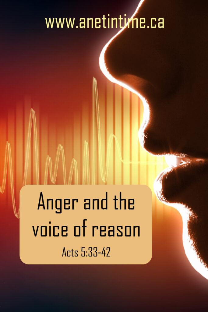 anger and the voice of reason