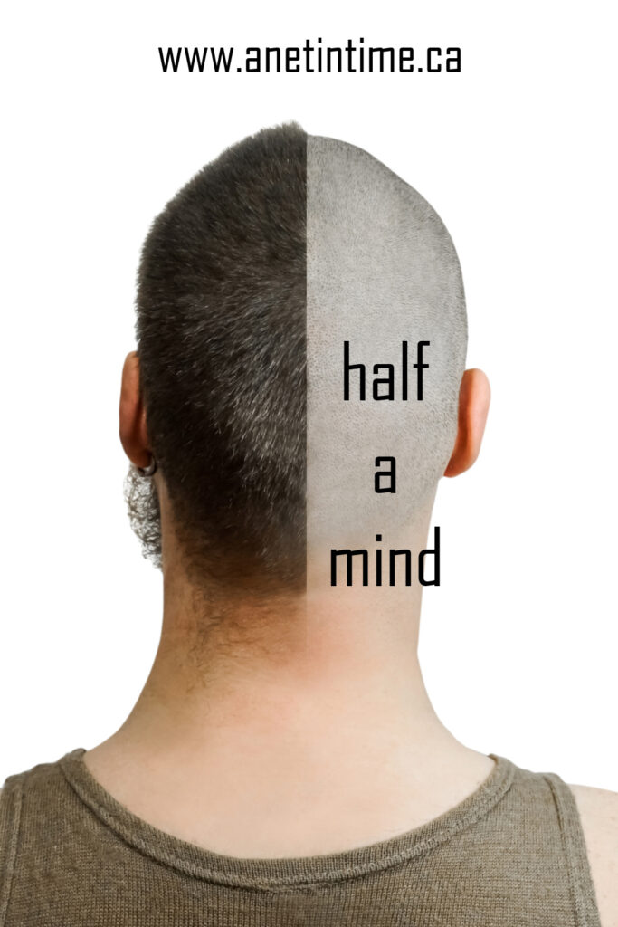 text half a mind, image of backside of a half shaved head.